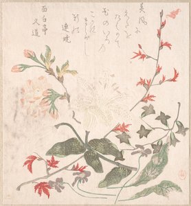 Lilje, fioler, kirsebærblomster, Forsythia og en gren av rød lønn, 1700-1800-tallet. av Unbekannt