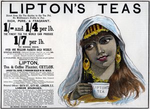 Liptons te-annonse, 1893 av Unbekannt