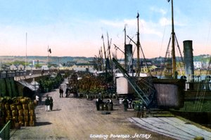 Laster poteter, Jersey, 1908 av Unbekannt
