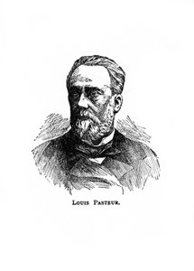 Louis Pasteur , fransk mikrobiolog og kjemiker fra 1800-tallet, 1900-tallet av Unbekannt