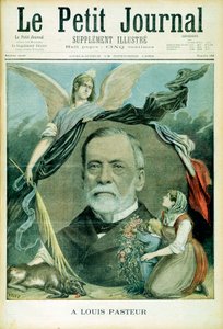Louis Pasteur, fransk kjemiker, 1895 av Unbekannt