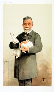 Louis Pasteur, fransk kjemiker og grunnlegger av moderne bakteriologi, 1887 av Unbekannt