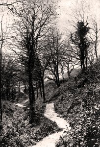 Lovers Lane, Fairlight, Hastings, Sussex av Unbekannt
