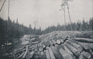 Tømmerarbeid, 1924 av Unbekannt