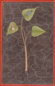 Markandeya ser på Krishna i det kosmiske hav, ca. 1680. av Unbekannt