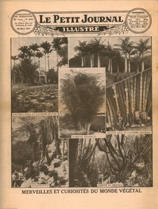 Planteverdenens vidundere og kuriositeter, 1931. av Unbekannt