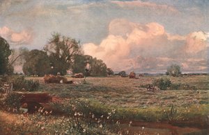 Engsøtsaker, 1893, c1902. av Unbekannt