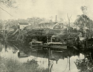 Meat Works, nær Grafton, New South Wales, 1901. av Unbekannt