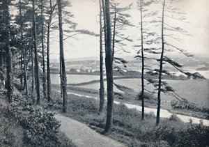 Menai - Fra Bangor Wood, 1895 av Unbekannt