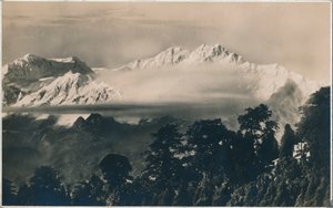 Ikke ghty gullordre er c1940 av Unbekannt