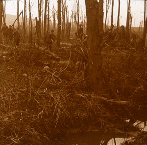 Mount Kemmel, Flandern, Belgia, c1914-c1918 av Unbekannt