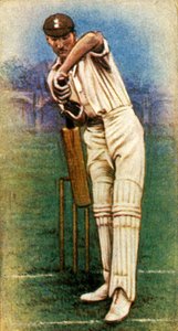 Mr. D. R. Jardine Surrey, 1928. av Unbekannt