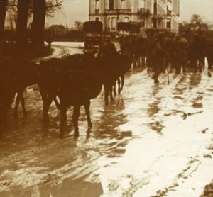 Muldyrtog med forsyninger, Verdun, Nord-Frankrike, c1914-c1918 av Unbekannt