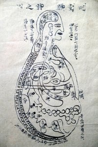Museum for tradisjonell vietnamesisk medisin, Kanalene og karene, Akupunkturboken, Ho Chi Minh-byen, Vietnam av Unbekannt