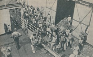 Innfødte laster bananer i Kingston, Jamaica, synger skotske salmer, 1937 av Unbekannt