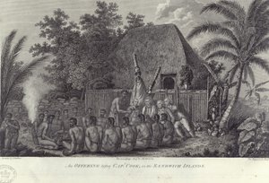 Innfødte fra Sandwichøyene, Hawaii, slakter svin før Captain Cook, c1778 av Unbekannt