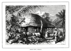 Negro Huts, Jamaica, 1800-tallet av Unbekannt