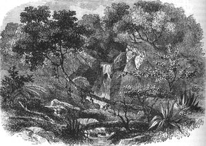 New Zealand landskap, ca 1880 av Unbekannt