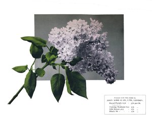 Ingen tittel - John Kidd& Co. Ltd.s prøve, 1910 av Unbekannt