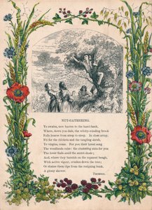 Nut-Gathering, av Thomson, c1900 av Unbekannt