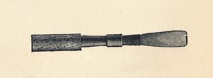 Husk Ray d, 1895. av Unbekannt