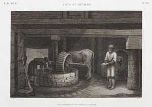 Oljer, fett og voks Oljefabrikk, Egypt, ca 1798 av Unbekannt