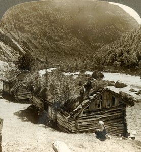 Gamle tømmerhus i Bratslandsdal, med trær som vokser på torvdekkede tak, Norge, c1905. av Unbekannt