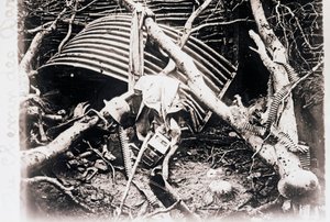 På Chemin des Dames, Nord-Frankrike, c1914-c1918 av Unbekannt