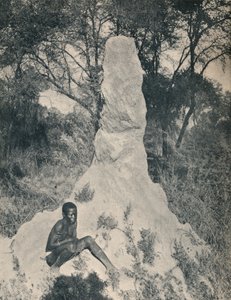 En av de gigantiske maurhaugene som er særegne for noen distrikter i Sør-Afrika, ca 1900. av Unbekannt