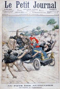 Strutser angriper en bil, California, USA, 1904 av Unbekannt