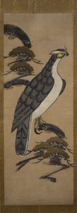 Otsu-e av Falcon on a Pine Tree, 1700-tallet. av Unbekannt