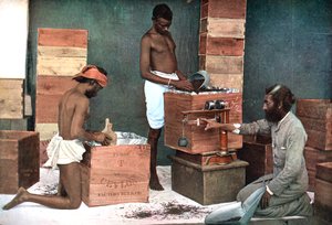Pakking og veiing av te for eksport på en eiendom på Ceylon Sri Lanka, 1905 av Unbekannt