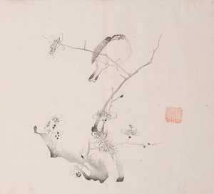 Side fra shi Z Tiger Z også. av Unbekannt