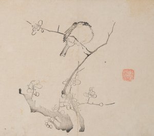 Side fra shi Z Hu Z også Shu Huapu. av Unbekannt