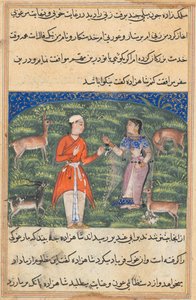 Side fra Tales of a Parrot Tuti-nama: Attende natt: Nikfal, formuen..., ca. 1560. av Unbekannt