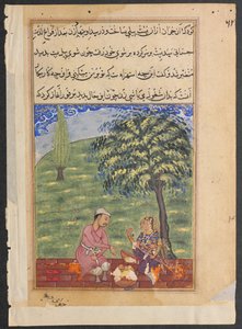 Side fra Tales of a Parrot Tuti-nama: Åttende natt: Den utro kone som forklarer..., ca. 1560. av Unbekannt