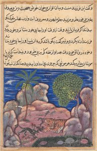 Side fra Tales of a Parrot Tuti-nama: Femtende natt: Katten angriper musene..., 1558-1560. av Unbekannt