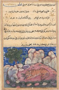 Side fra Tales of a Parrot Tuti-nama: Femtende natt: Løven forstyrret av mus..., 1558-1560. av Unbekannt