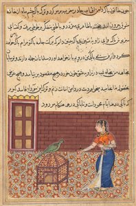 Side fra Tales of a Parrot Tuti-nama: Femtiførste natt: Papegøyen henvender seg til Khujasta..., ca. 156 av Unbekannt