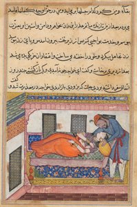 Side fra Tales of a Parrot Tuti-nama: Førtiende natt: Shahr-Arais ektemann..., ca. 1560. av Unbekannt