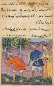 Side fra Tales of a Parrot Tuti-nama: Førtiandre natt: Rajas-datteren..., ca. 1560. av Unbekannt