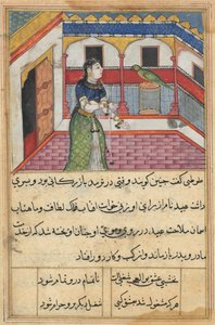 Side fra Tales of a Parrot Tuti-nama: Førtiandre natt: Papegøyen adresserer..., ca. 1560. av Unbekannt