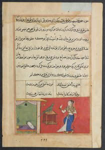 Side fra Tales of a Parrot Tuti-nama: Førtisjuende natt: Papegøyen henvender seg til Khujasta..., c156 av Unbekannt