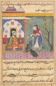 Side fra Tales of a Parrot Tuti-nama: Nittende natt: Brahmans kone..., ca. 1560. av Unbekannt