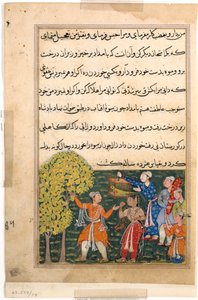 Side fra Tales of a Parrot Tuti-nama: Niende natt: Kongen plukker frukt fra treet..., ca. 156 av Unbekannt