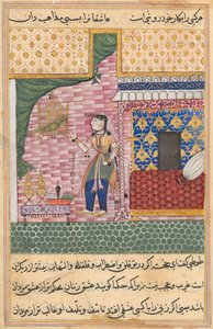 Side fra Tales of a Parrot Tuti-nama: Syttende natt: Papegøyen..., ca. 1560. av Unbekannt