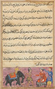 Side fra Tales of a Parrot Tuti-nama: Syvende natt: Darwish bringer inn som medgift..., ca. 1560. av Unbekannt