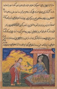 Side fra Tales of a Parrot Tuti-nama: Tiende natt: Visirens kone sender magien..., ca. 1560. av Unbekannt