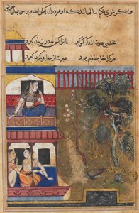 Side fra Tales of a Parrot Tuti-nama: Trettiniende natt: Dronningen av Rum..., ca. 1560. av Unbekannt