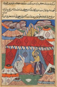 Side fra Tales of a Parrot Tuti-nama: Tjuefjerde natt: Den forkledde araberen..., ca. 1560. av Unbekannt